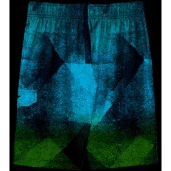 Speedo Mens Prism Blend E-Board Boardshorts Shorts Swim Trunks Suit Size Large - Picture 3 of 5